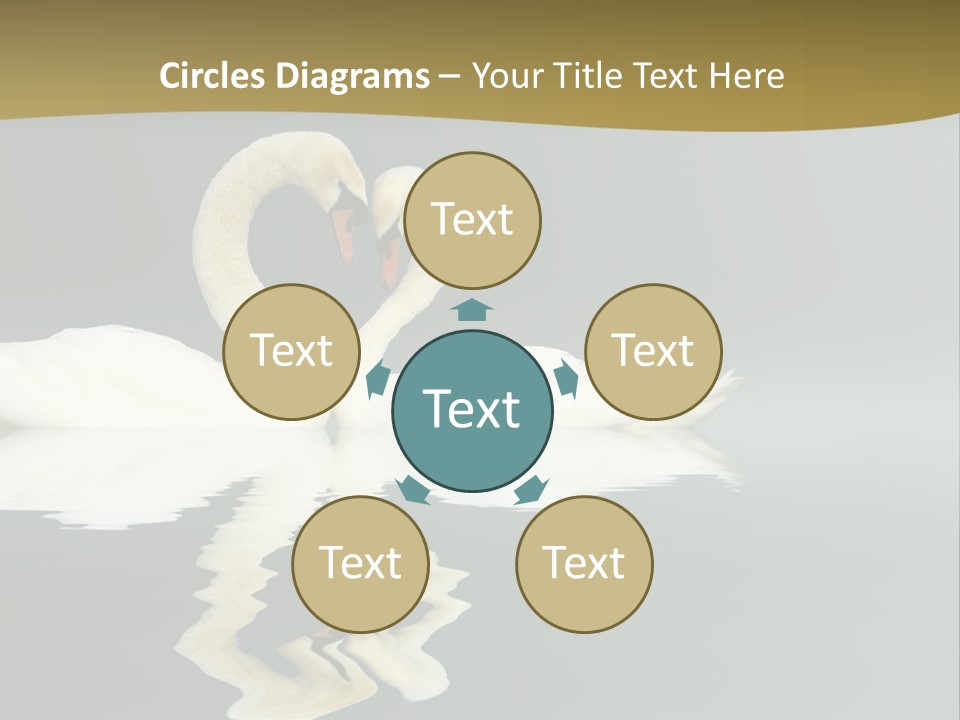 Birds Valentine Valnetines PowerPoint Template