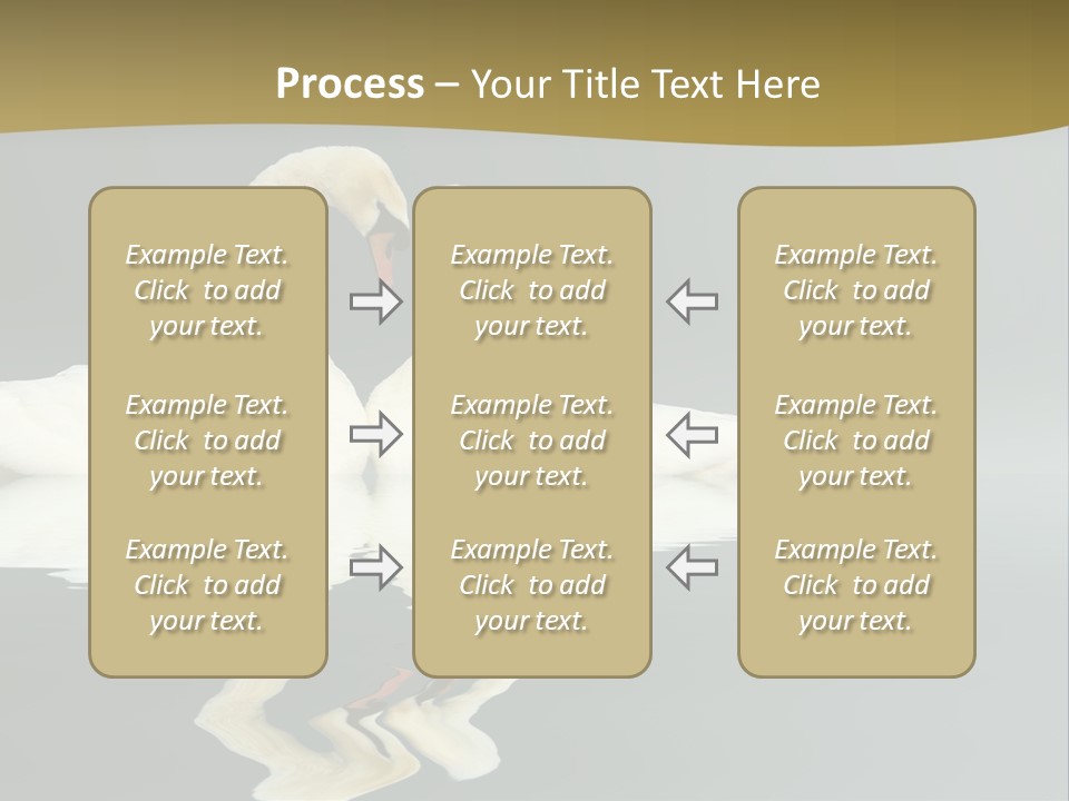 Birds Valentine Valnetines PowerPoint Template