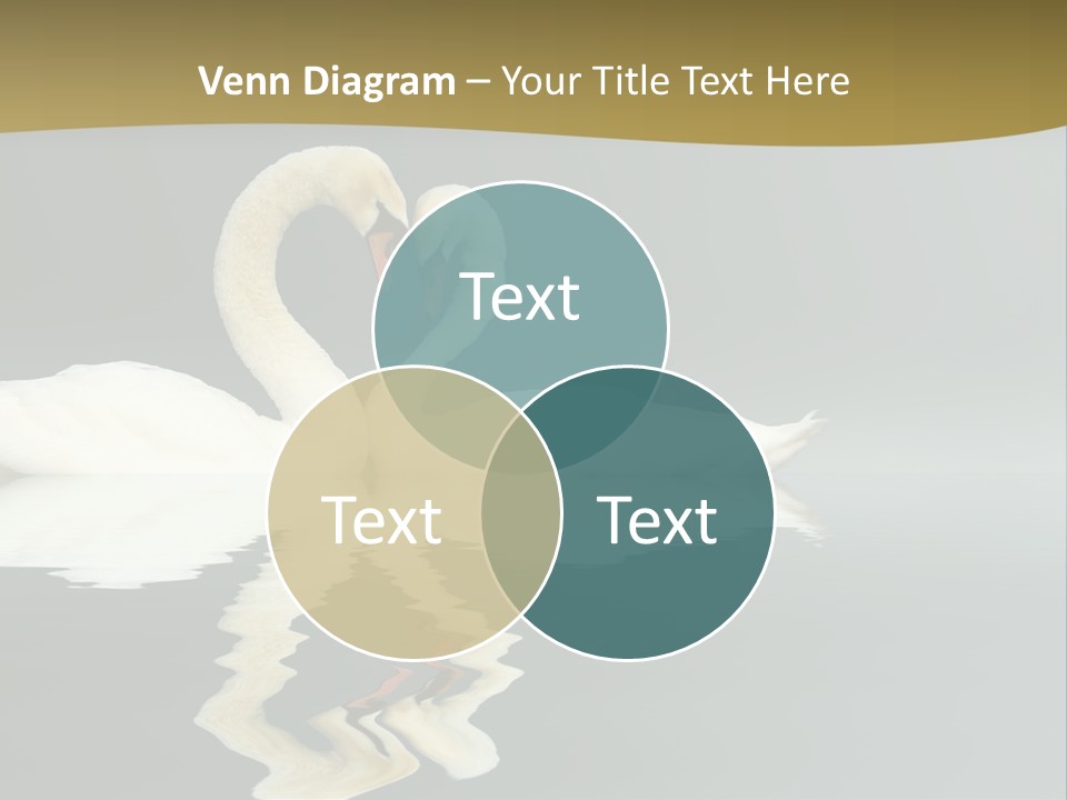 Birds Valentine Valnetines PowerPoint Template