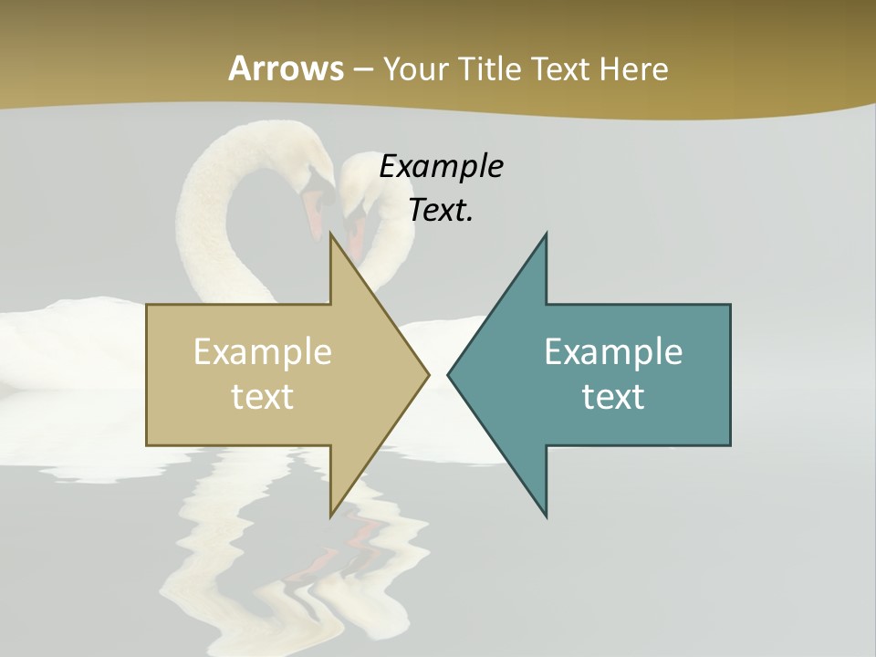 Birds Valentine Valnetines PowerPoint Template