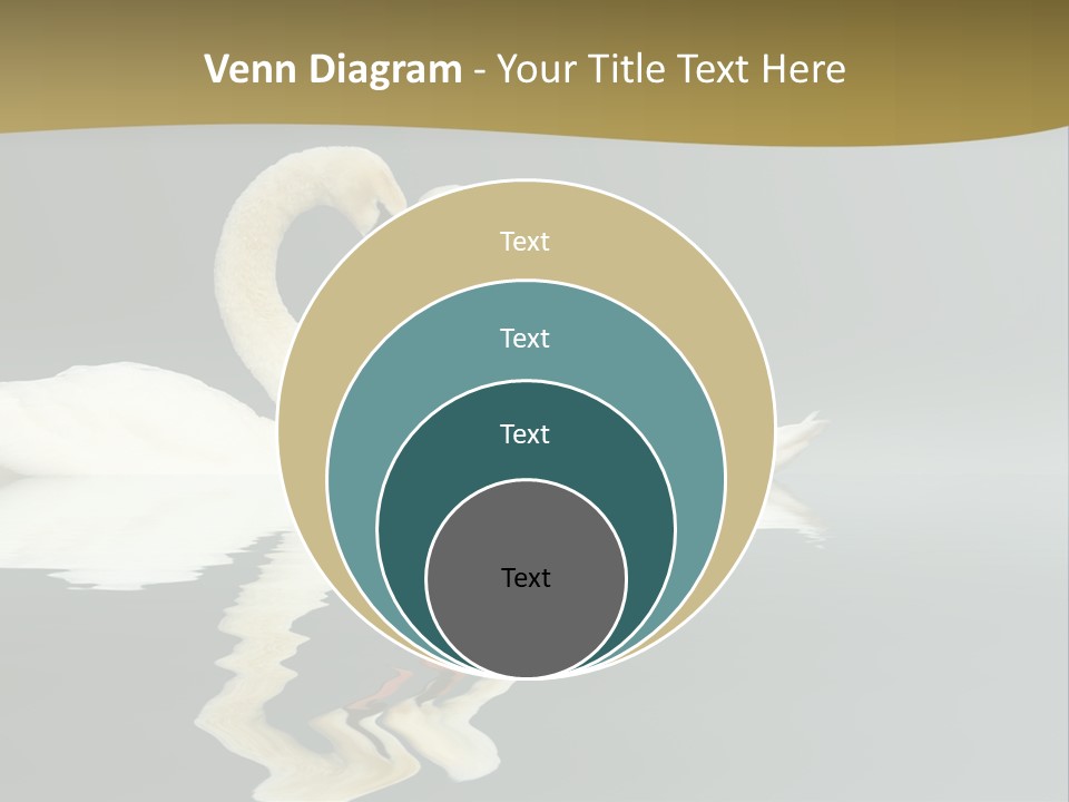 Birds Valentine Valnetines PowerPoint Template