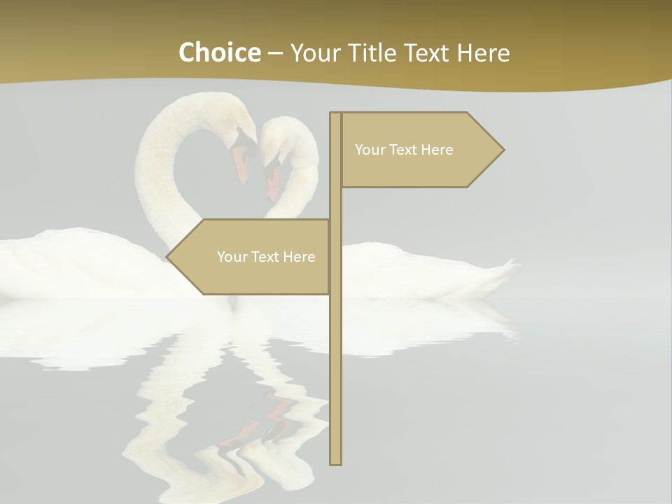 Birds Valentine Valnetines PowerPoint Template