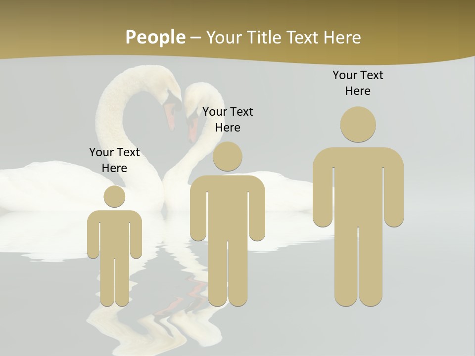 Birds Valentine Valnetines PowerPoint Template