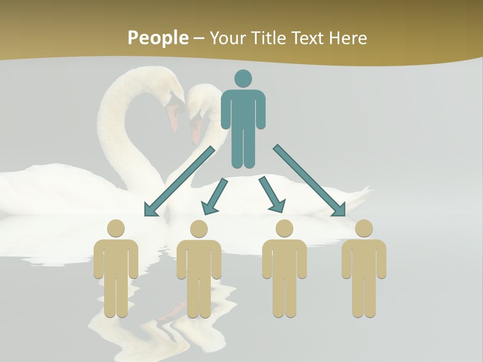 Birds Valentine Valnetines PowerPoint Template