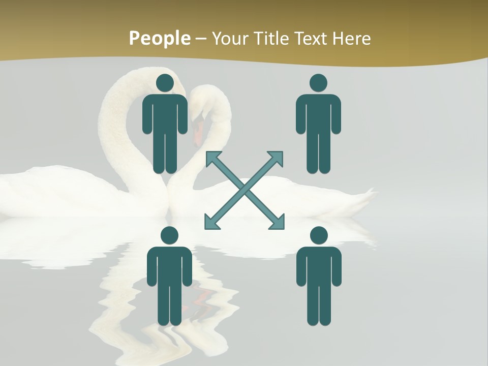 Birds Valentine Valnetines PowerPoint Template