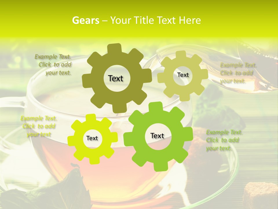 Ooutdoor Beauty Steam PowerPoint Template