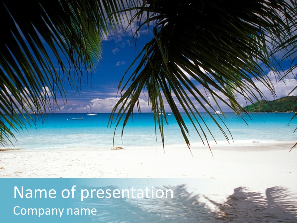 Silhouette Sky Tropics PowerPoint Template