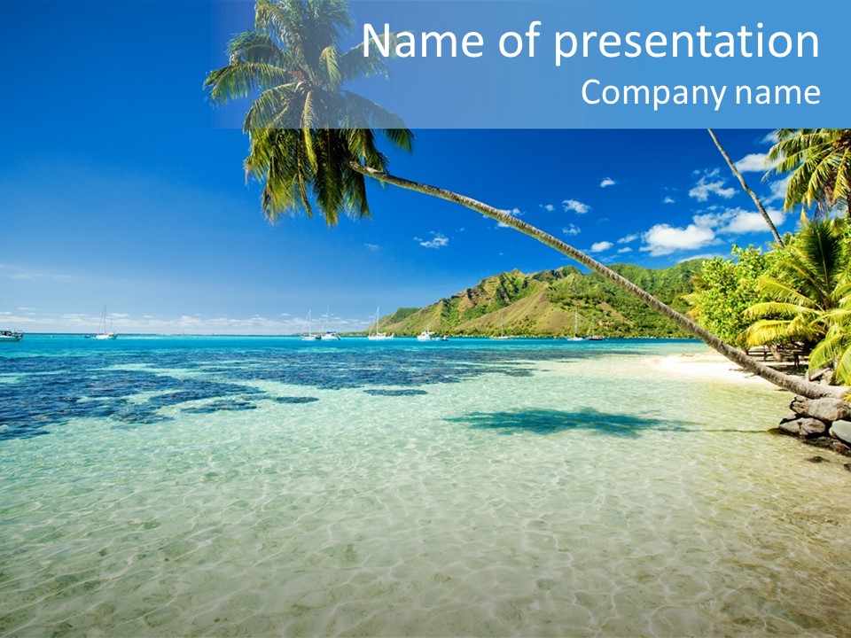 Hawaii Tranquility Nature PowerPoint Template