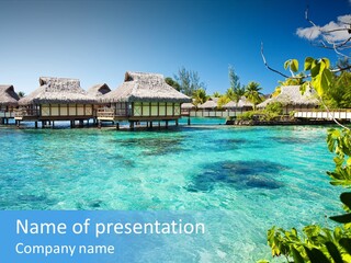 Blue Tree Swimming PowerPoint Template