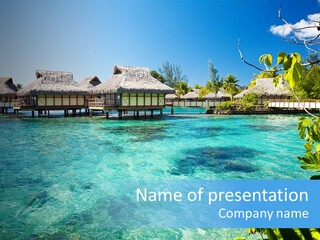 Vacations Relaxation Beach PowerPoint Template