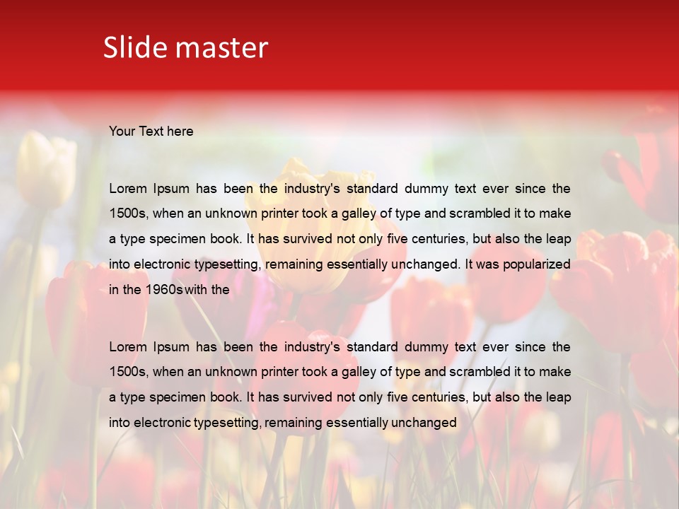 Field Blur Celebration PowerPoint Template