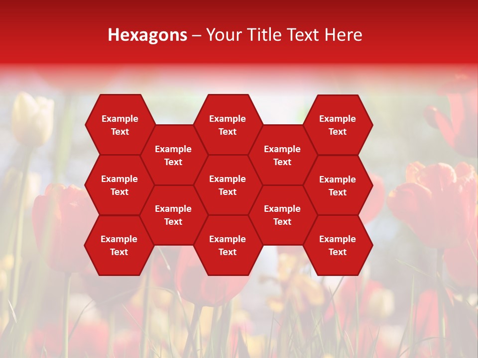 Field Blur Celebration PowerPoint Template