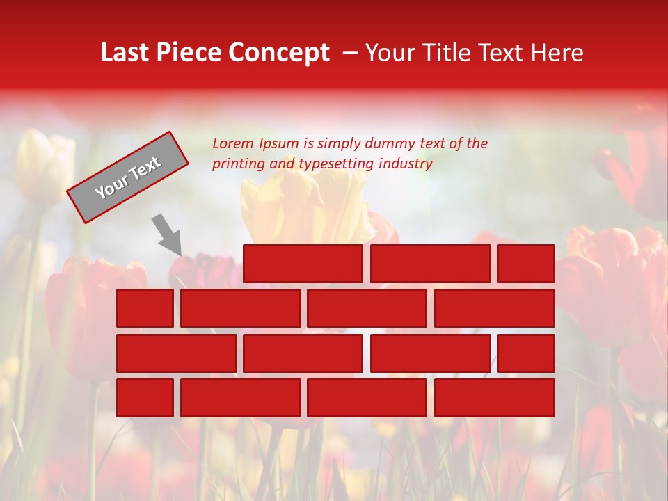 Field Blur Celebration PowerPoint Template