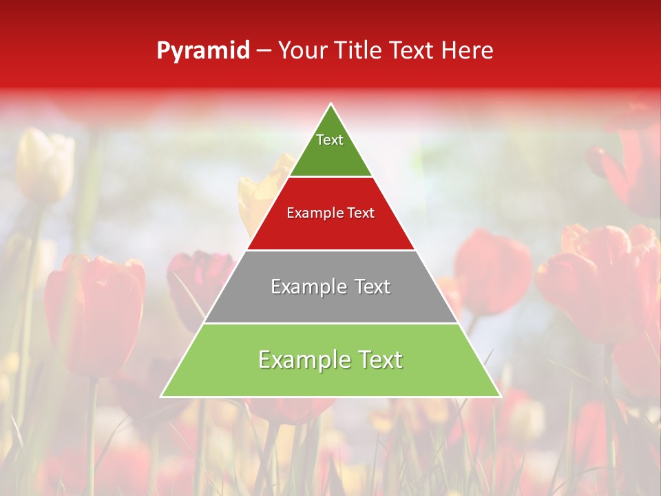 Field Blur Celebration PowerPoint Template