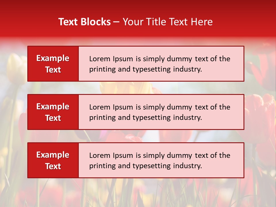 Field Blur Celebration PowerPoint Template