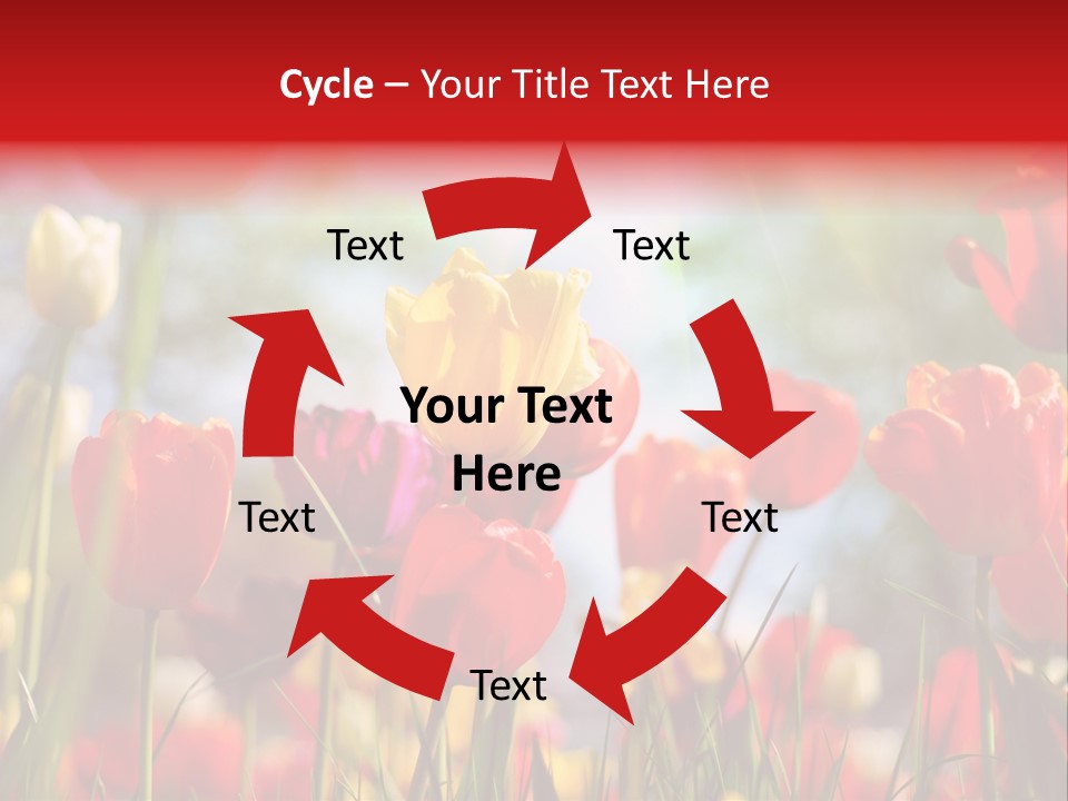 Field Blur Celebration PowerPoint Template
