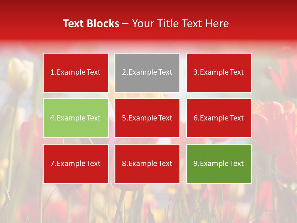 Field Blur Celebration PowerPoint Template