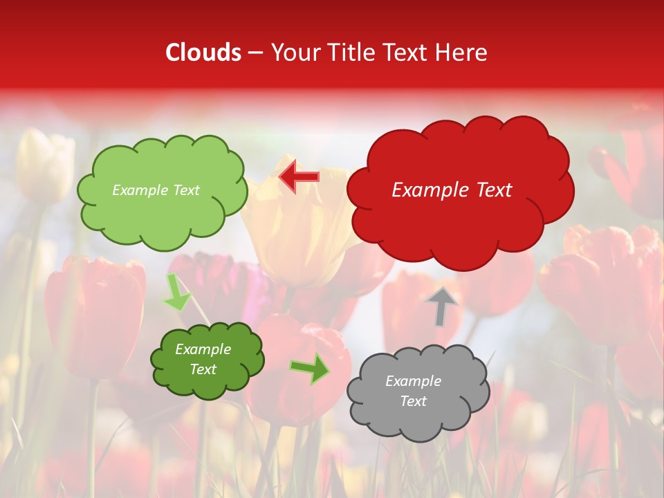 Field Blur Celebration PowerPoint Template