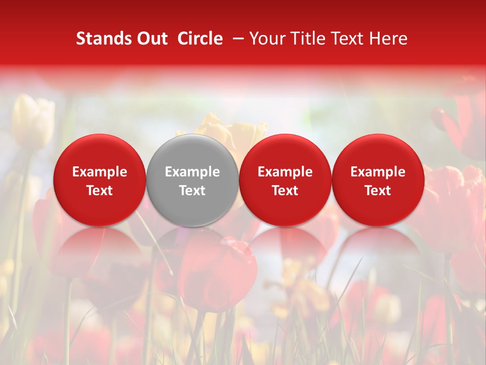 Field Blur Celebration PowerPoint Template