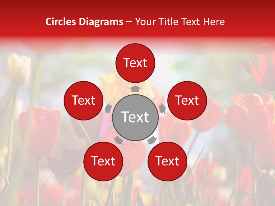 Field Blur Celebration PowerPoint Template