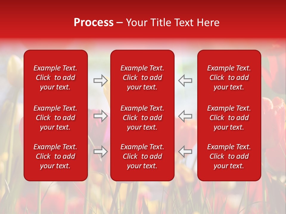 Field Blur Celebration PowerPoint Template