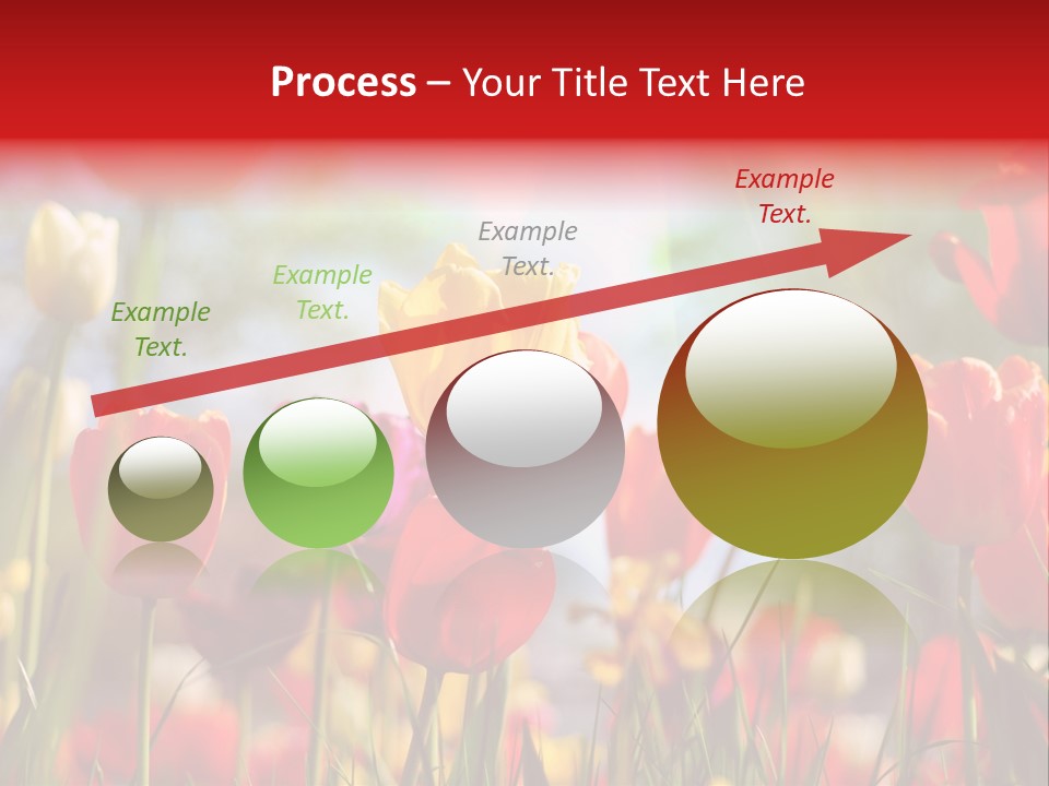 Field Blur Celebration PowerPoint Template