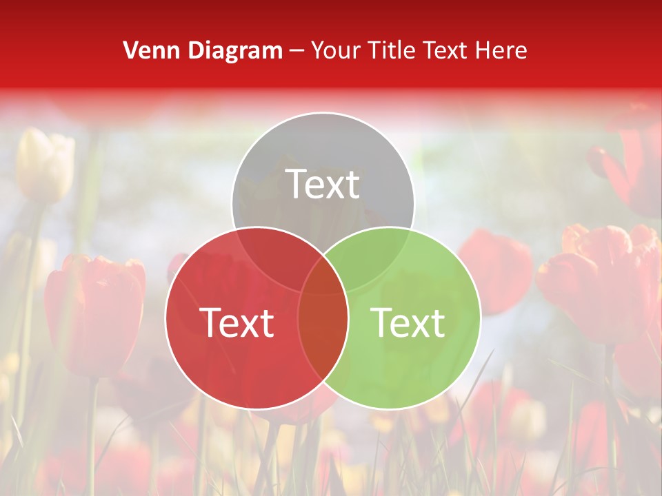 Field Blur Celebration PowerPoint Template