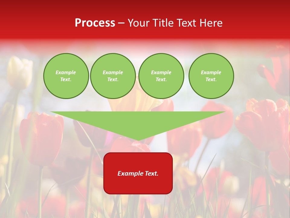 Field Blur Celebration PowerPoint Template