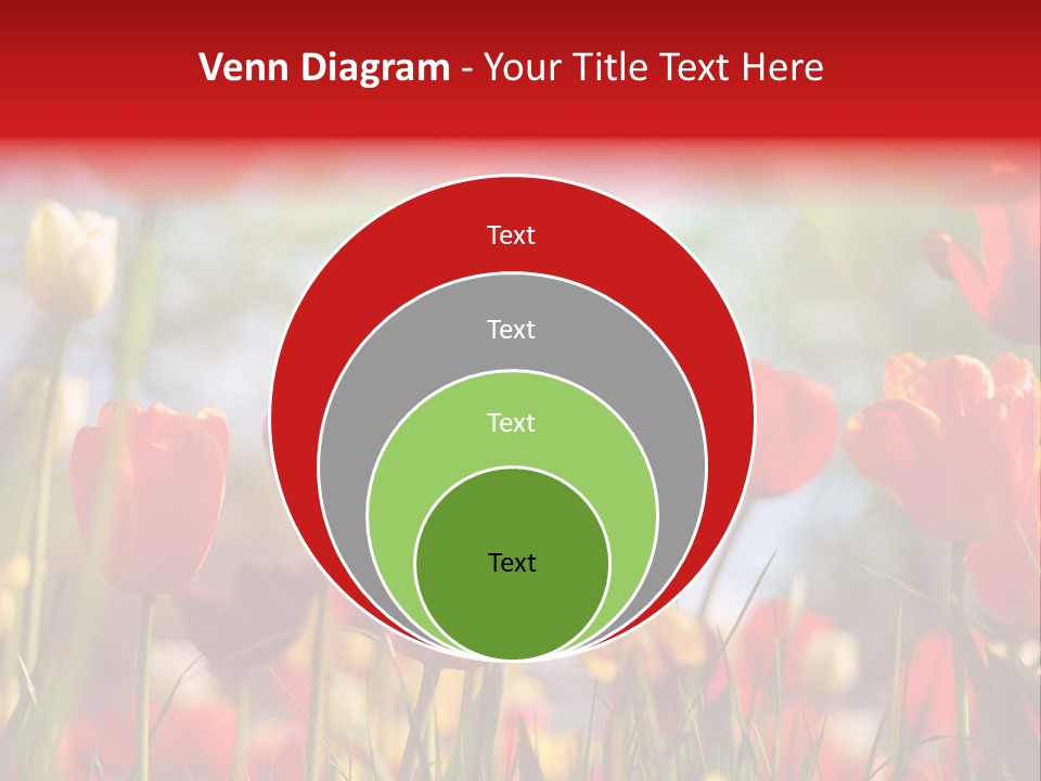 Field Blur Celebration PowerPoint Template