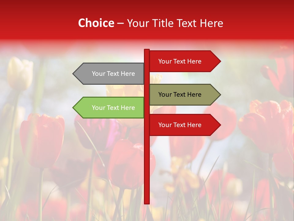 Field Blur Celebration PowerPoint Template