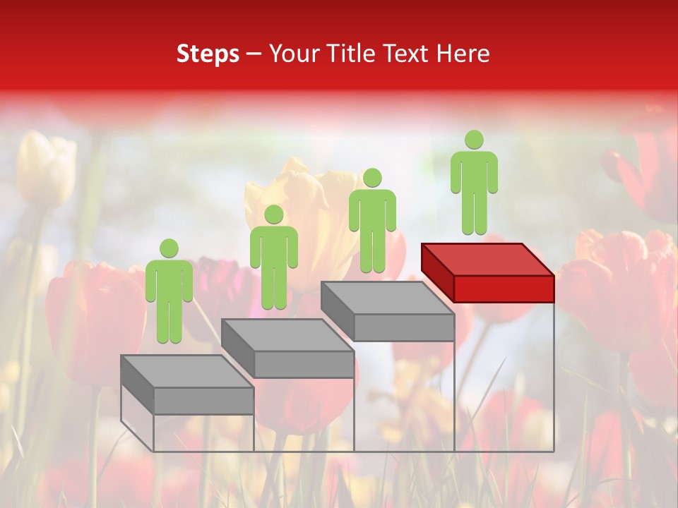 Field Blur Celebration PowerPoint Template