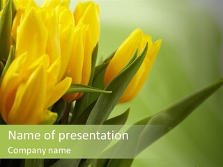 Yellow Collour Bouquet PowerPoint Template