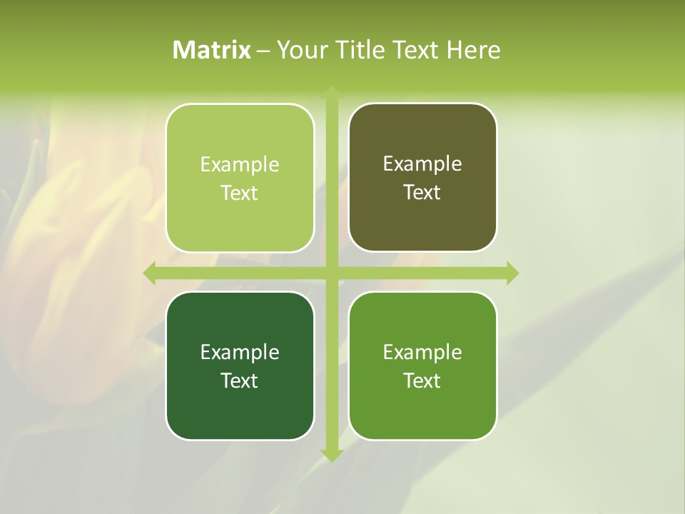 Yellow Collour Bouquet PowerPoint Template