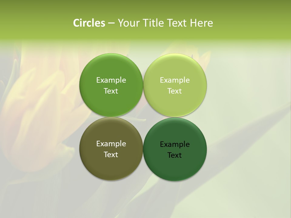 Yellow Collour Bouquet PowerPoint Template