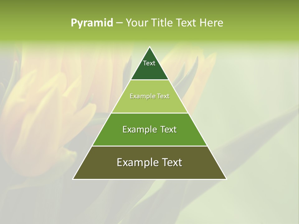 Yellow Collour Bouquet PowerPoint Template