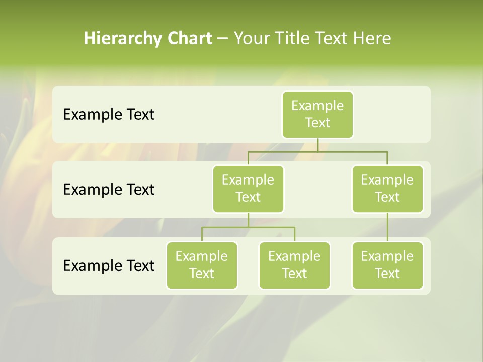 Yellow Collour Bouquet PowerPoint Template