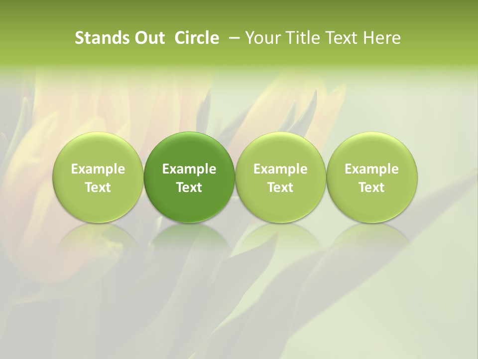 Yellow Collour Bouquet PowerPoint Template