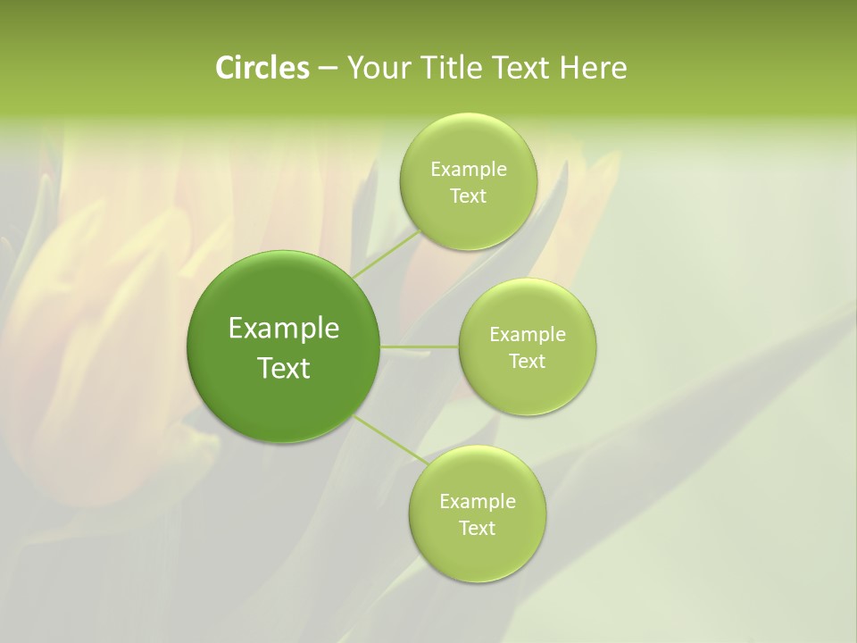 Yellow Collour Bouquet PowerPoint Template