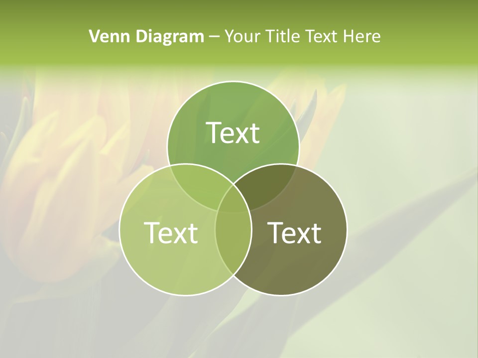 Yellow Collour Bouquet PowerPoint Template