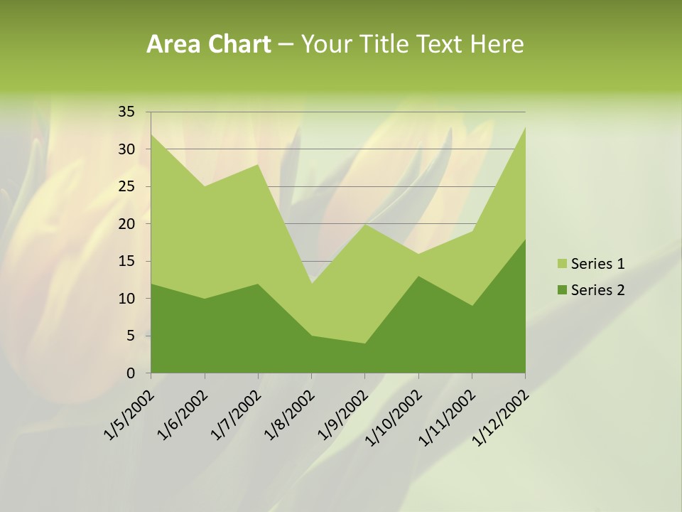 Yellow Collour Bouquet PowerPoint Template