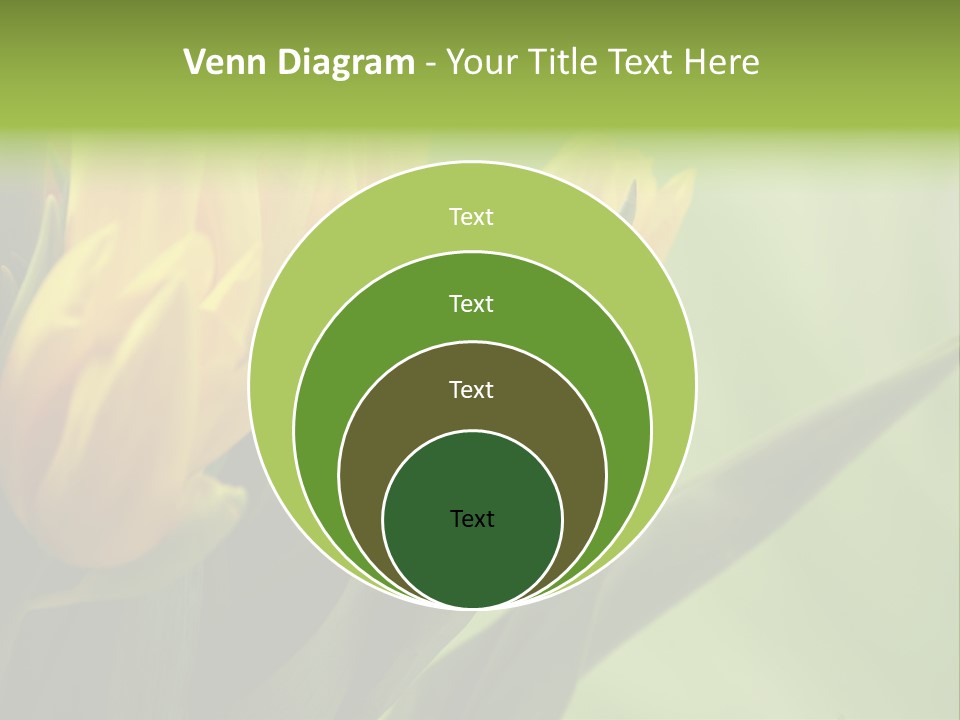 Yellow Collour Bouquet PowerPoint Template