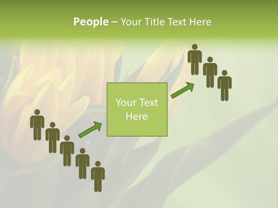 Yellow Collour Bouquet PowerPoint Template