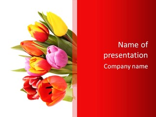 Garden Romance Objects PowerPoint Template