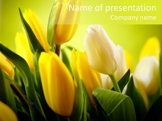 Nature Natural Bright PowerPoint Template