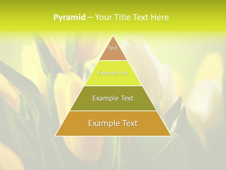 Nature Natural Bright PowerPoint Template