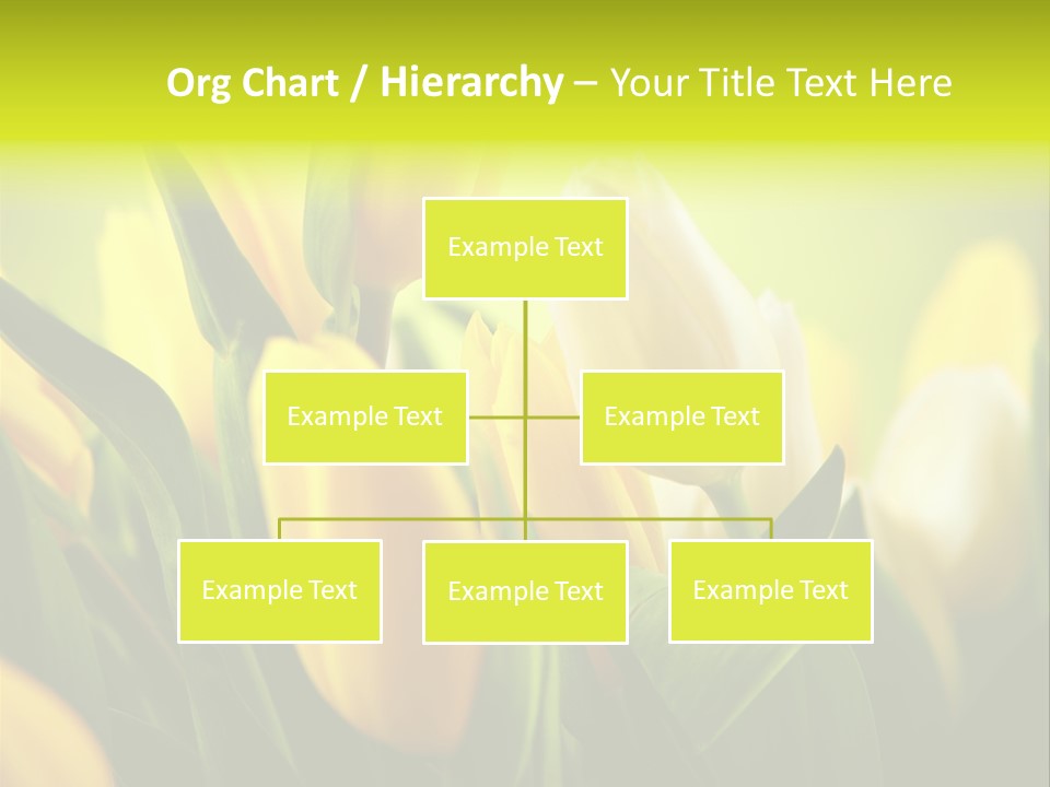 Nature Natural Bright PowerPoint Template