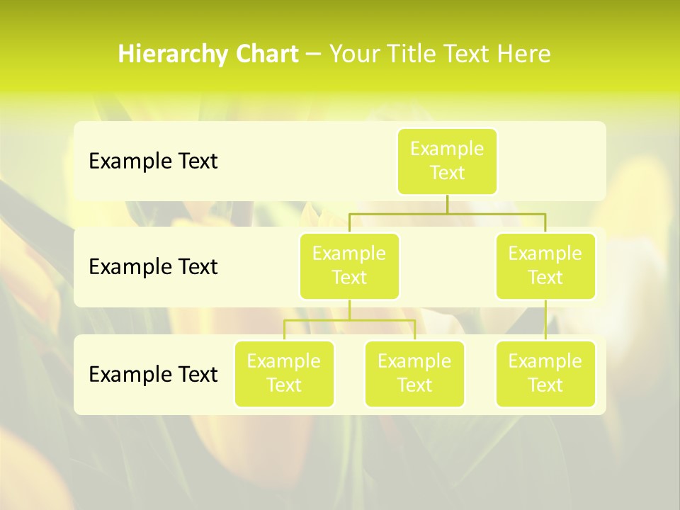 Nature Natural Bright PowerPoint Template