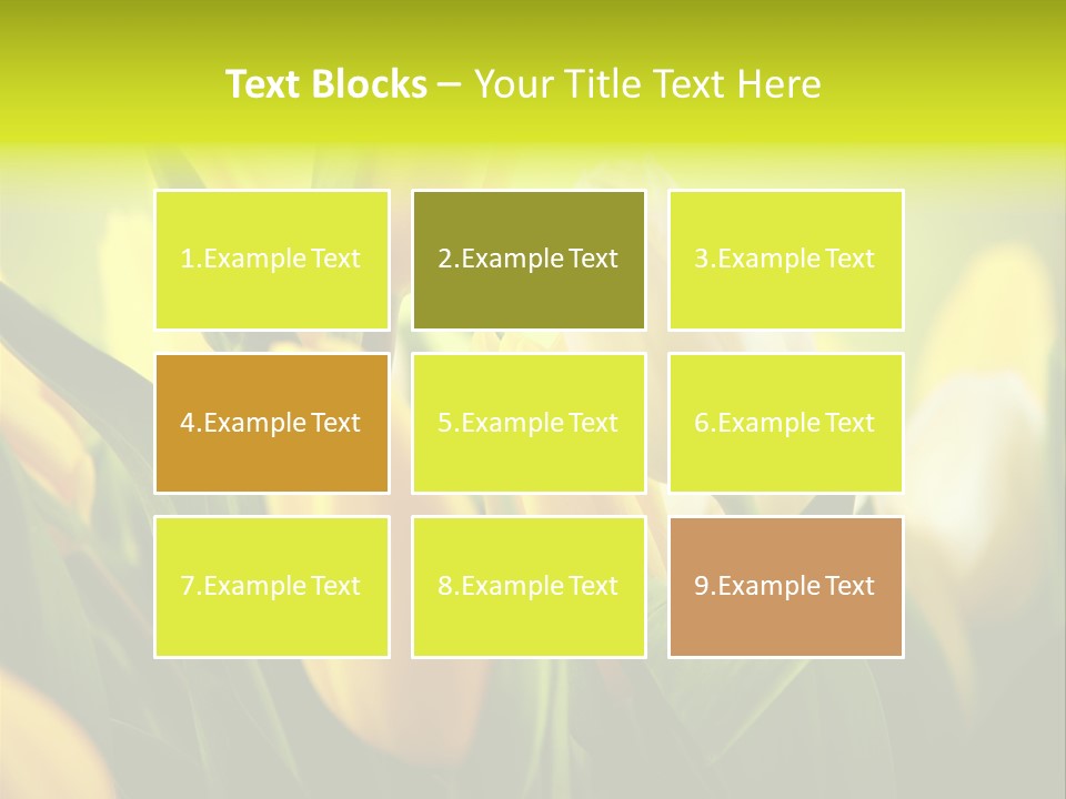 Nature Natural Bright PowerPoint Template