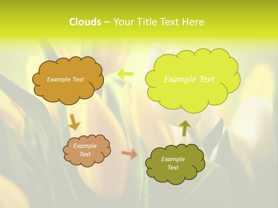 Nature Natural Bright PowerPoint Template