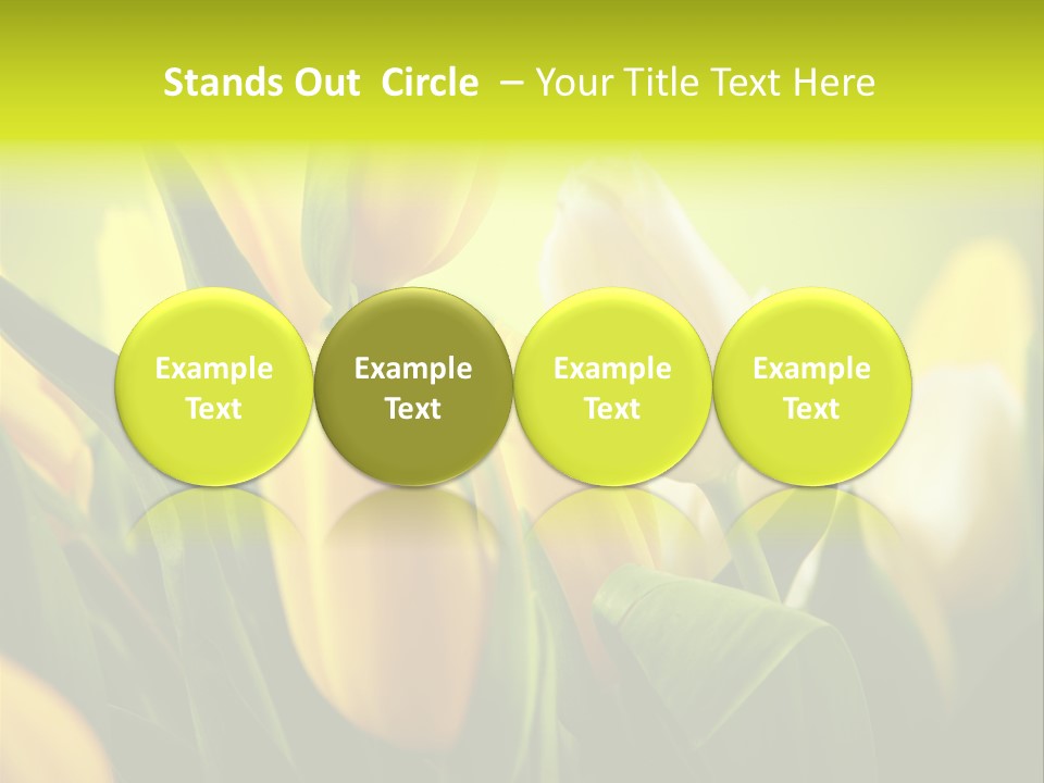 Nature Natural Bright PowerPoint Template